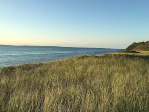 View from path of our private end of Menemsha beach