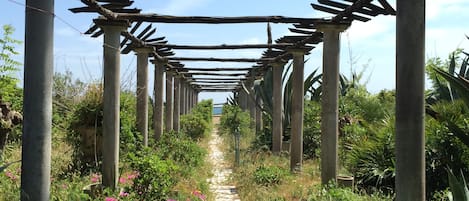 Weg durch den Garten zum Strand