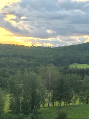 Summer view from the deck