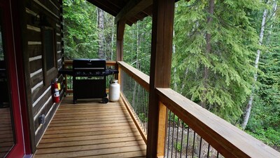 Log Dovetail Rooster Cabin - Mountain Life Getaway!