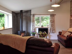 Living room with wood burner | Dark Sky Lodge, near Trecastle, Brecon