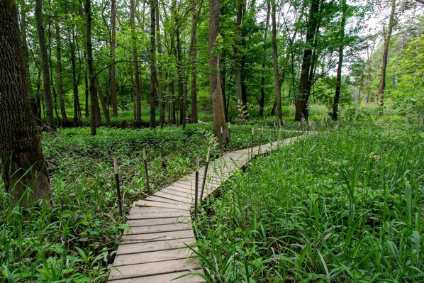 Elevated path to The Little Calumet River