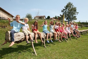 Familienbauernhof König (Regen)-Spielplatz