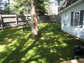 Thrush Cottage yard