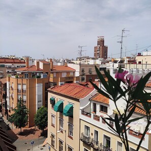 Vista desde la propiedad