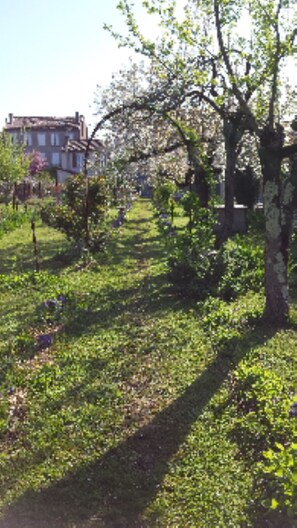 Jardines del alojamiento