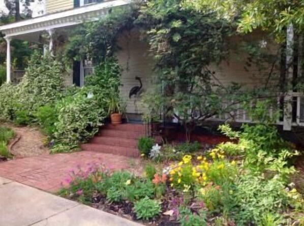 Front of our house in Spring