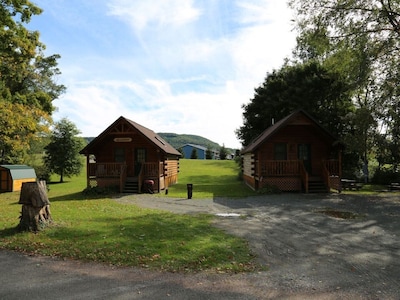 Riverfront Cabin West Branch Delaware River