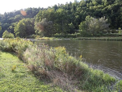 Riverfront Cabin West Branch Delaware River