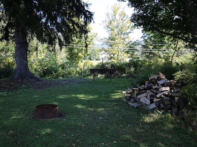 Riverfront Cabin West Branch Delaware River