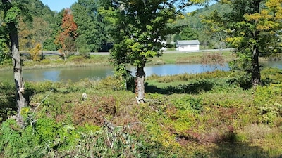 Riverfront Cabin West Branch Delaware River