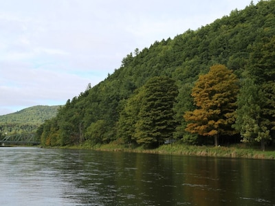 Riverfront Cabin West Branch Delaware River