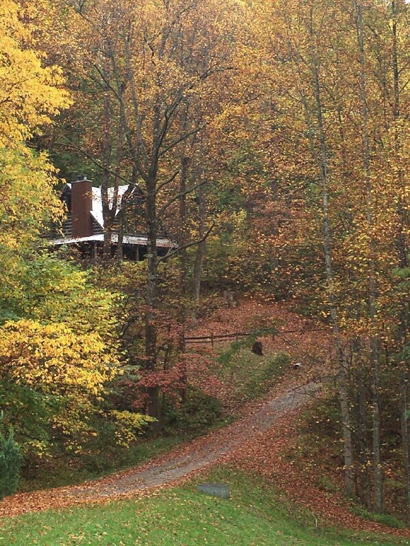 Gorgeous Fall Colors at our Secluded cabin, Chillin the Most, Wears Valley, TN. 