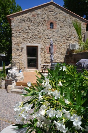 Rear Patio