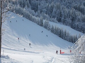 Snow and ski sports