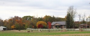 Welcome to the farm retreat.  Fall is the most beautiful time of year.