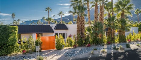 Welcome to The Estate Palm Springs in Little Italy!