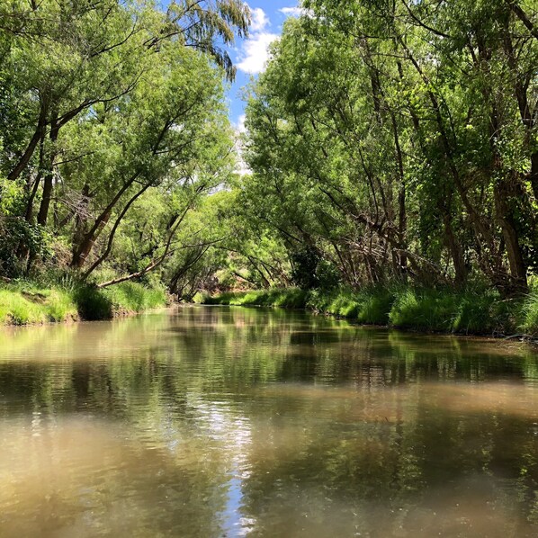 Oklassificerad bild, 1 av 39, knapp