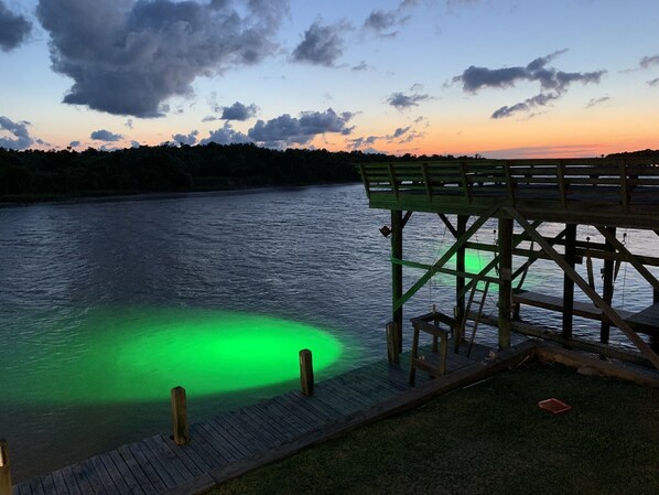 The trout are biting. Enjoy the best seat in the house. 