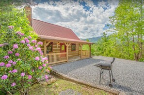 Welcome to A Leconte Lookout! (cabin driveway recently paved and gravel removed)