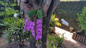 Orquidário