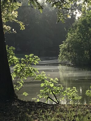 Evening photo across the lake