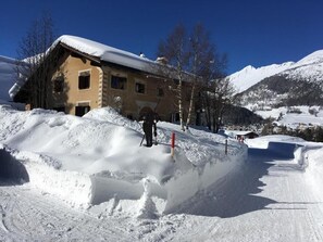 Picture 3