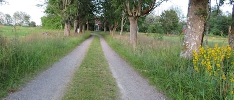 Long driveway to Ringatorpet. Enjoy Swedish Summer in Småland. 200m to Åsnen.