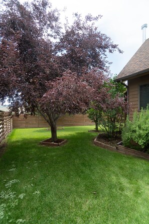 The start to the incredibly large yard!
