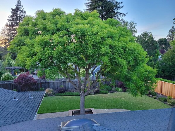 Expedia's Vrbo Guests are *NOT* welcome at this property effective 1/06/25.
