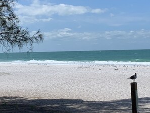 Anna Maria Island, white sand beach