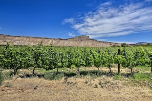 The vacation rental is located within a mile of several wineries like Mesa Park.