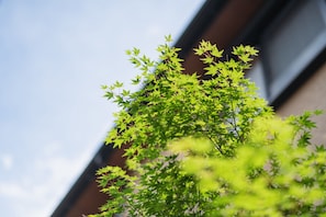 Detalj exteriör
