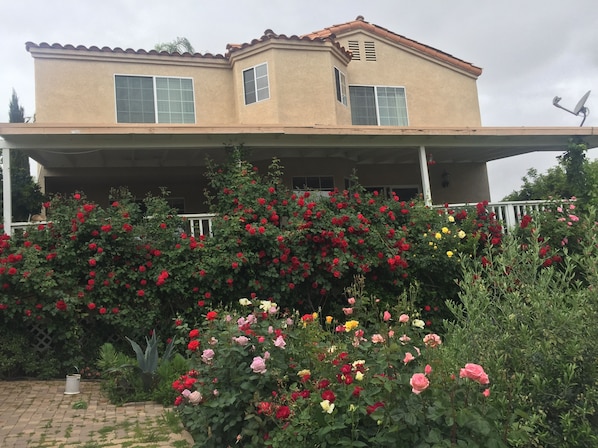 Backside ,terrace and upstairs 2 bedroom 