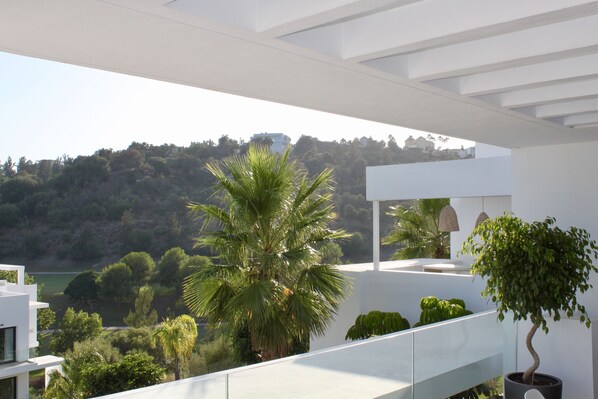 Lower terrace view