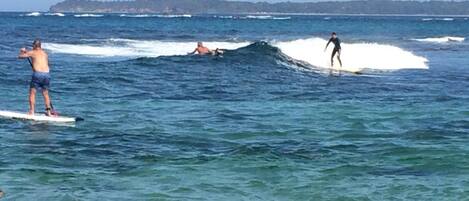  Fabulous surf breaks on Connelley's Reef only 200 metres away