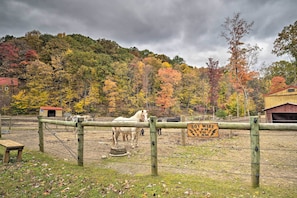 Parco della struttura