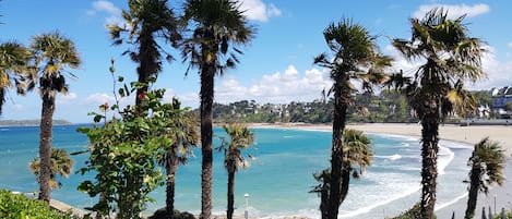 vue sur Trestraou : avec les palmiers & l'eau turquoise on dirait les Antilles