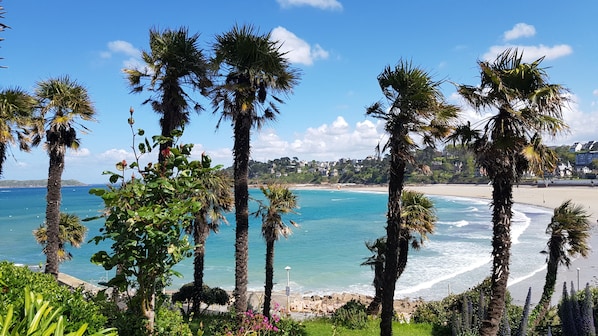 vue sur Trestraou : avec les palmiers & l'eau turquoise on dirait les Antilles