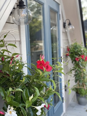 An oasis of flowers to greet you on the large deck