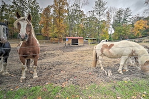 Community Horse Stables