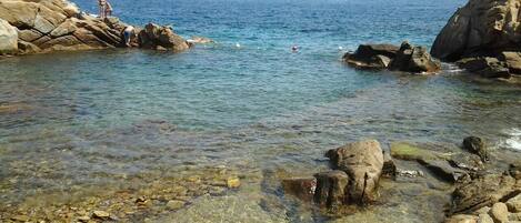 Saraceno Bay, near home