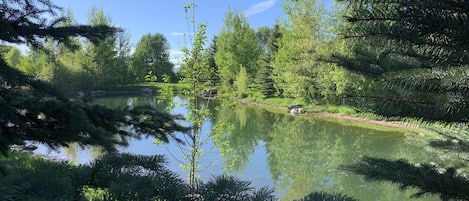 View from the back deck of the pond adjacent to the property 