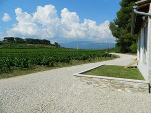 Terrain de l’hébergement 