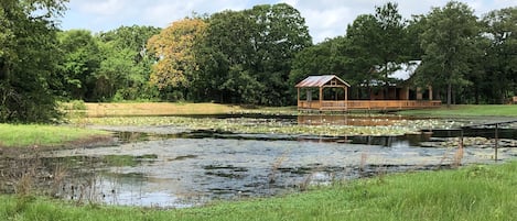 Overnatningsstedets område