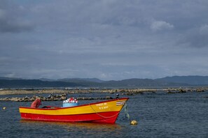 Fiske