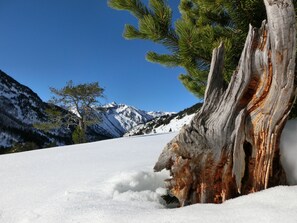 Hiking