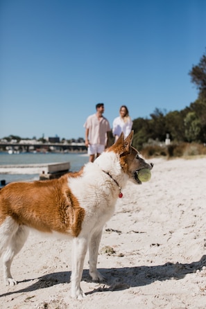 Strand