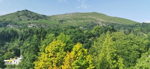 Vista desde la habitación