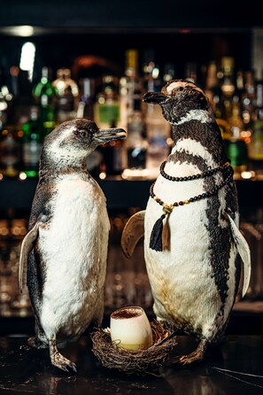 Bar (på boendet)